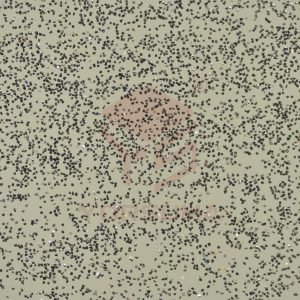 FBML CBN Micro Powder
